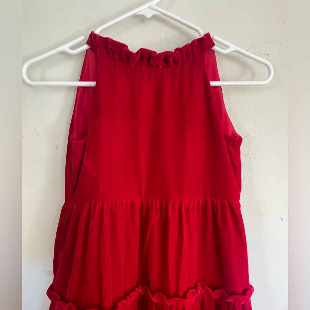 Beautiful Red Velvet Tired holiday dress.